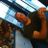 Terry van der Noort's profile picture