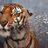 Karol Keane's profile picture