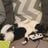 D_J_SparkZ's profile picture