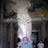 Jossua Marcovich's profile picture