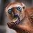 Andrew Boulton's profile picture
