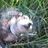 Jonathan RedJay Corbett's profile picture