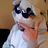 Fennek_BMP's profile picture