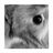 Ange Gordon's profile picture