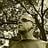 Stalyu Todorov's profile picture