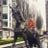 Samuel Gledhill's profile picture