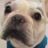 noriko_kenken's profile picture