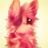 pokit's profile picture