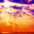 MAEGESTRIS's profile picture