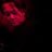 Kimio Okamoto's profile picture