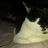 Marine Largeau's profile picture