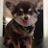 Baci Adaros's profile picture