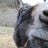 Damdam Oklès's profile picture