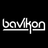 bavikon's profile picture