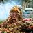 The Trash Heap Has Spoken's profile picture