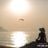 Yumiko Takeda's profile picture