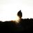 RQ_nz's profile picture