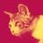かりを a.k.a. #DJ_kariwo's profile picture