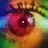 Music for Indoors / EAV's profile picture