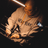masakoha's profile picture