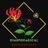 DiaspoRADiCAL Soundscapes's profile picture