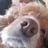 asiris74's profile picture