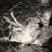 Vilma Norvilyte's profile picture