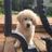 Edward Gains's profile picture