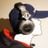 TomatO's profile picture