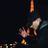 Vo Vera's profile picture