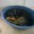 Alby Hendricks's profile picture
