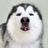 Fluffbutt's profile picture