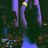 Jacqueline Mielitz's profile picture