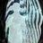 Iroh's profile picture