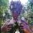 Alexandrea El Mouher's profile picture