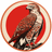 Red Tail Sound's profile picture