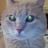 Olegario Lakis's profile picture