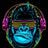 Gorila DJ's profile picture