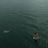 Frizzy Frixx's profile picture