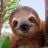 Nice And Slow's profile picture