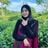 Sima Jannat's profile picture