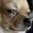 jessegray's profile picture