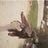 Sabor A Mi's profile picture