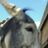 Tibor Barta's profile picture
