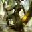Robor's profile picture
