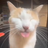 Tempyy's profile picture