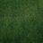Denis Gafetdinov's profile picture