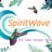Spiritwave München's profile picture