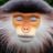 JosipSusa's profile picture