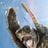 .:TRTLS:.'s profile picture